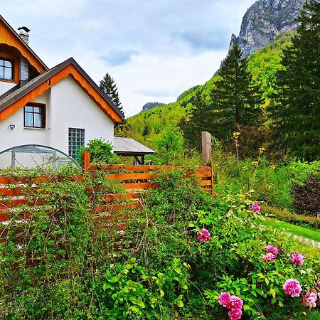 Ingreen House Bohinjska Bela Exterior foto